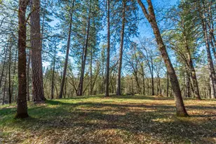 1535 Whispering Pines Dr, Meadow Vista, CA 95722 - Photo 89