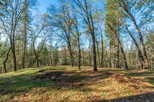 1535 Whispering Pines Dr, Meadow Vista, CA 95722 - Photo 91