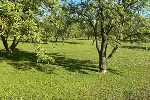 17576 E State Hwy 120, Ripon, CA 95366 - Photo 1