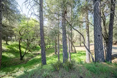 1621 Coyote Drive, Murphys, CA 95247 - Photo 5