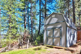 7031 Pioneer Dr, Grizzly Flats, CA 95636 - Photo 9