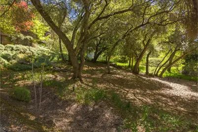 1598 Coyote Drive, Murphys, CA 95247 - Photo 45