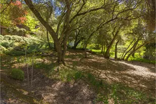 1598 Coyote Dr, Murphys, CA 95247 - Photo 45