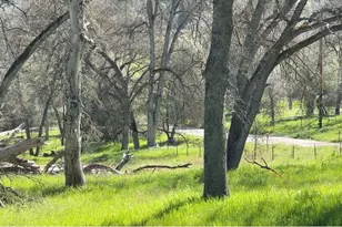 4091 Old Hwy, Mariposa, CA 95338 - Photo 37