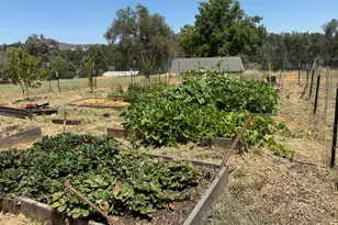 4091 Old Hwy, Mariposa, CA 95338 - Photo 25