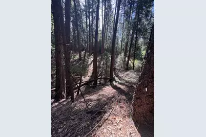 5483 Poor Mans Way, Wilseyville, CA 95257 - Photo 5