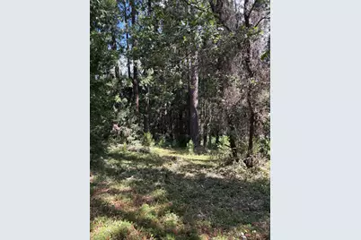 5483 Poor Mans Way, Wilseyville, CA 95257 - Photo 7