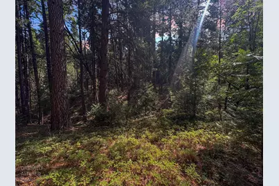 5483 Poor Mans Way, Wilseyville, CA 95257 - Photo 3