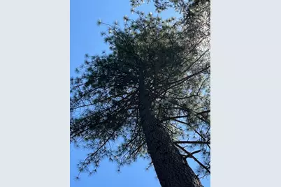 5483 Poor Mans Way, Wilseyville, CA 95257 - Photo 9