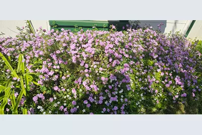 4701 Pennsylvania Avenue, Fair Oaks, CA 95628 - Photo 5