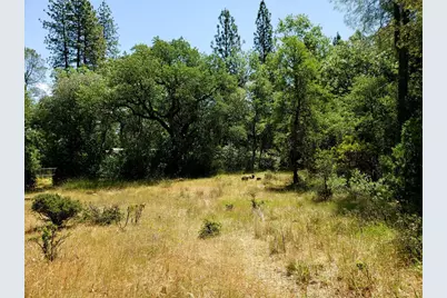 13903 Ingersoll Drive, Dobbins, CA 95935 - Photo 11