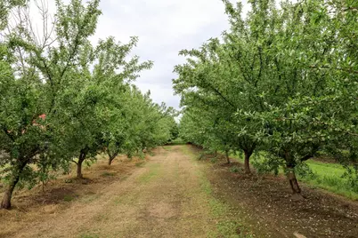 1342 Hickman Road, Hickman, CA 95323 - Photo 47