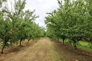 1342 Hickman Rd, Hickman, CA 95323 - Photo 47