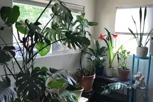 2311 Reile Ave, Escalon, CA 95320 - Photo 29