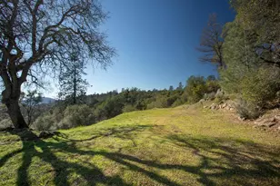 1718 Robinson Mill Rd, Bangor, CA 95914 - Photo 63