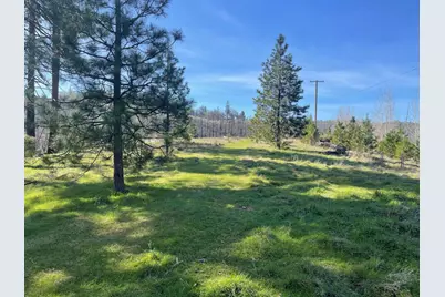 7602 Old Emigrant Trail W, Mountain Ranch, CA 95246 - Photo 11