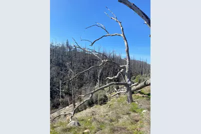 7602 Old Emigrant Trail W, Mountain Ranch, CA 95246 - Photo 27