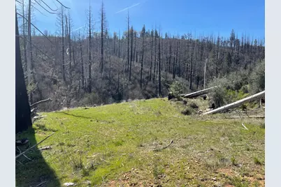 7602 Old Emigrant Trail W, Mountain Ranch, CA 95246 - Photo 39