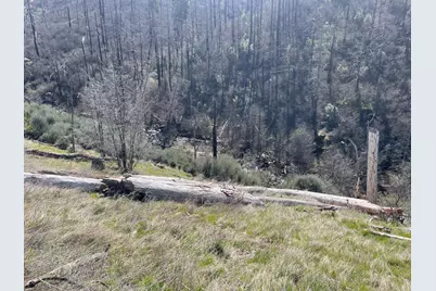 7602 Old Emigrant Trail W, Mountain Ranch, CA 95246 - Photo 31