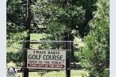 22671 Twain Harte Drive, Twain Harte, CA 95383 - Photo 5