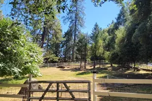 3091 Sand Ridge Rd, Placerville, CA 95667 - Photo 39