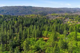 16601 Bristow Ct, Grass Valley, CA 95949 - Photo 65