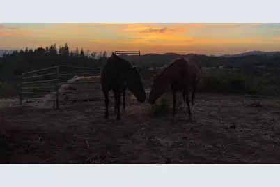 6165 Starlight Lane, Mountain Ranch, CA 95246 - Photo 3