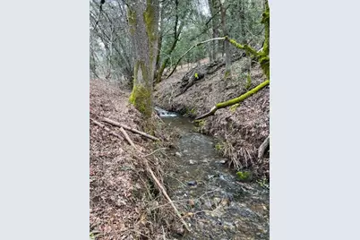 6165 Starlight Lane, Mountain Ranch, CA 95246 - Photo 13