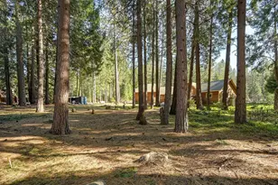 701 Sawmill Rd, Alta, CA 95701 - Photo 43