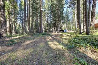 701 Sawmill Road, Alta, CA 95701 - Photo 47