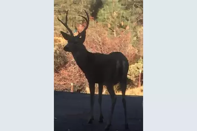 2352 Sanford Court, Rescue, CA 95672 - Photo 55