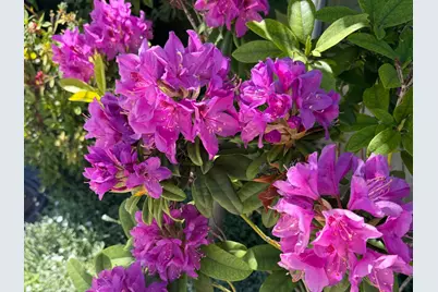 14621 E Eight Mile Road, Linden, CA 95236 - Photo 7