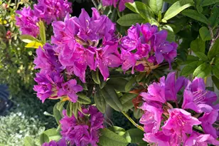 14621 E 8 Mile Rd, Linden, CA 95236 - Photo 7