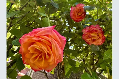 14621 E Eight Mile Road, Linden, CA 95236 - Photo 29