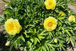 14621 E 8 Mile Rd, Linden, CA 95236 - Photo 37