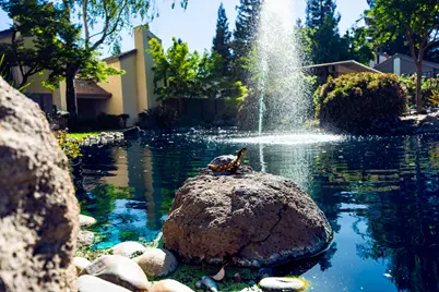 3701 Colonial Drive #89, Modesto, CA 95356 - Photo 49