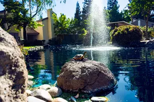 3701 Colonial Dr, Modesto, CA 95356 - Photo 19