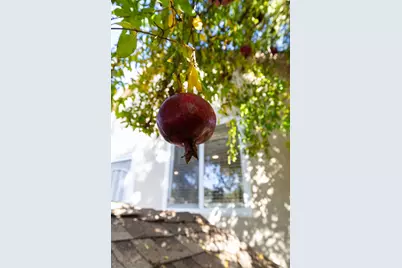 608 Yolo Street, West Sacramento, CA 95605 - Photo 43