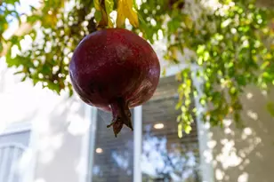 608 Yolo St, West Sacramento, CA 95605 - Photo 43