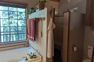 6105 Little Mountain Rd, Somerset, CA 95684 - Photo 9