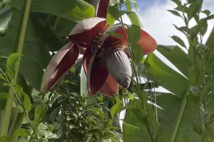 11786 Walmort Rd, Wilton, CA 95693 - Photo 63