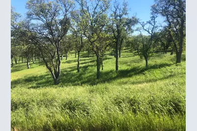 367 Knolls Drive, Copperopolis, CA 95228 - Photo 1