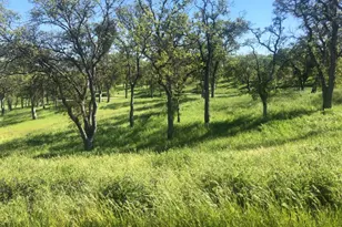 367 Knolls Dr, Copperopolis, CA 95228 - Photo 1