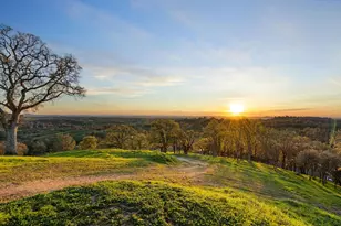 7270 Sutter Ione Rd, Ione, CA 95640 - Photo 77