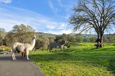 7270 Sutter Ione Road, Ione, CA 95640 - Photo 61