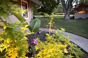 3175 Swallows Nest Dr, Sacramento, CA 95833 - Photo 35