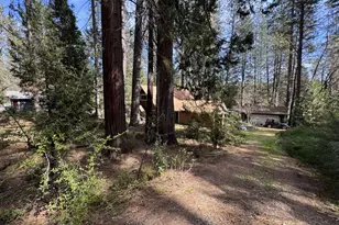 15342 Forest Ranch Way, Forest Ranch, CA 95942 - Photo 7