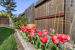 4401 Clytie Way, Sacramento, CA 95864 - Photo 55