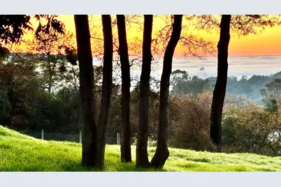 560 Oak View Court, Pilot Hill, CA 95664 - Photo 7