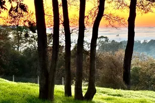 560 Oak View Ct, Pilot Hill, CA 95664 - Photo 7